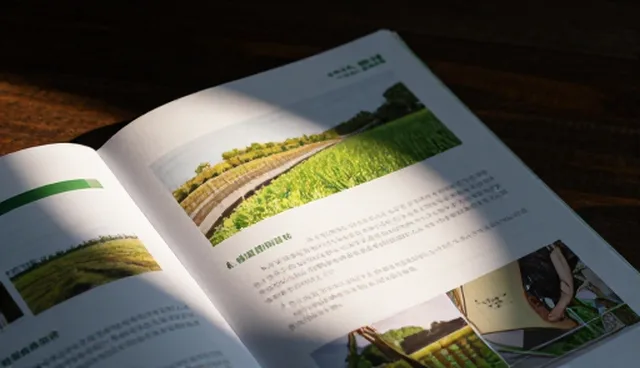 仓储保鲜技术推广的5大检查要点与常见问题处理