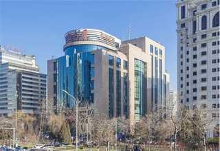 静安区办公室盆景绿植租赁公司